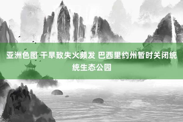 亚洲色图 干旱致失火频发 巴西里约州暂时关闭统统生态公园