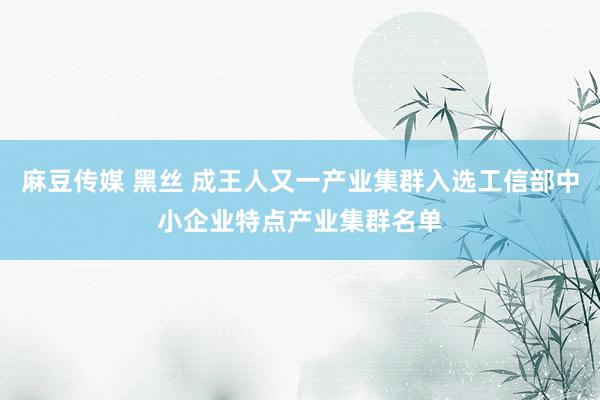 麻豆传媒 黑丝 成王人又一产业集群入选工信部中小企业特点产业集群名单