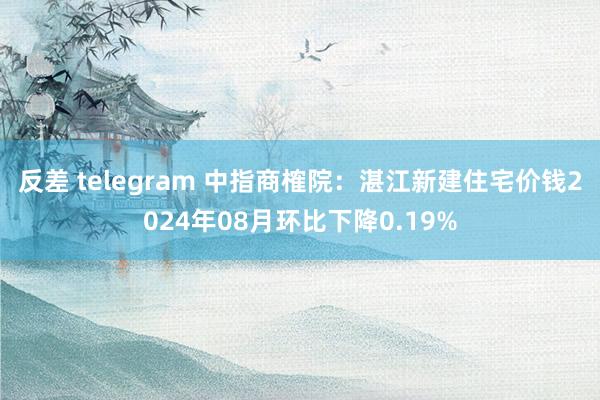 反差 telegram 中指商榷院：湛江新建住宅价钱2024年08月环比下降0.19%