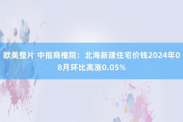 欧美整片 中指商榷院：北海新建住宅价钱2024年08月环比高涨0.05%