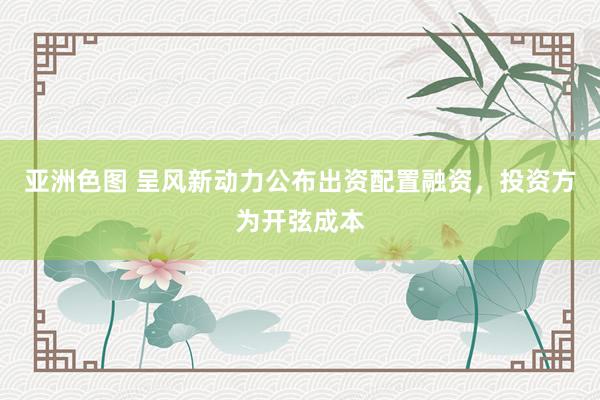 亚洲色图 呈风新动力公布出资配置融资，投资方为开弦成本