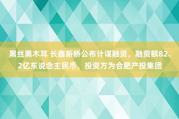 黑丝黑木耳 长鑫新桥公布计谋融资，融资额82.2亿东说念主民币，投资方为合肥产投集团