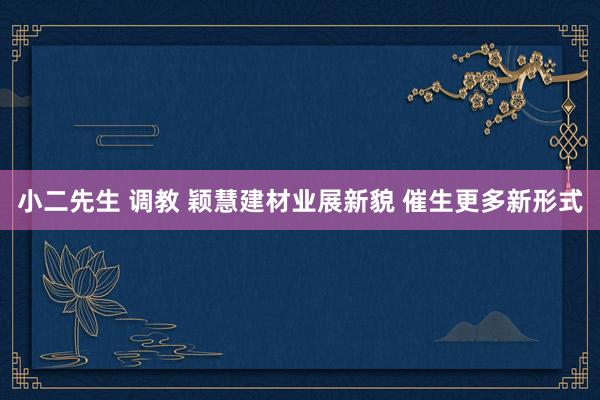 小二先生 调教 颖慧建材业展新貌 催生更多新形式