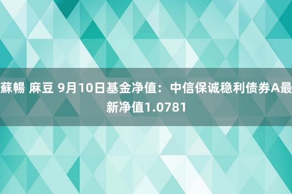 蘇暢 麻豆 9月10日基金净值：中信保诚稳利债券A最新净值1.0781