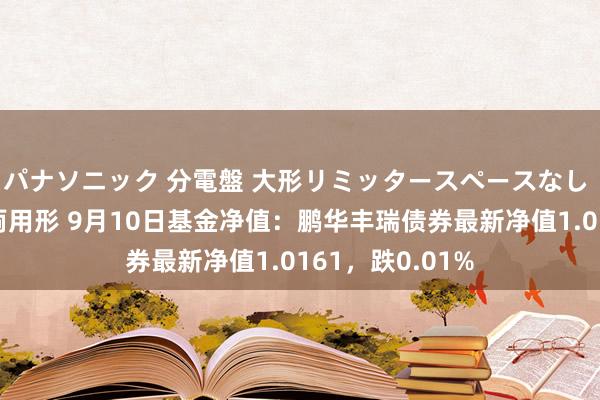 パナソニック 分電盤 大形リミッタースペースなし 露出・半埋込両用形 9月10日基金净值：鹏华丰瑞债券最新净值1.0161，跌0.01%