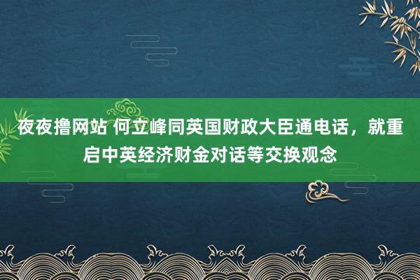 夜夜撸网站 何立峰同英国财政大臣通电话，就重启中英经济财金对话等交换观念