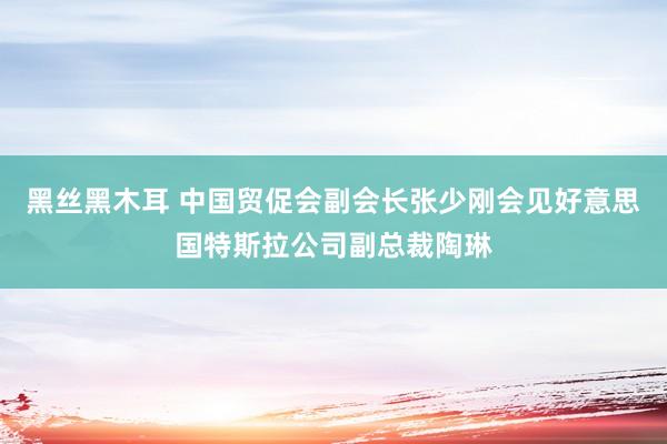 黑丝黑木耳 中国贸促会副会长张少刚会见好意思国特斯拉公司副总裁陶琳