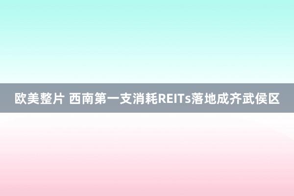 欧美整片 西南第一支消耗REITs落地成齐武侯区