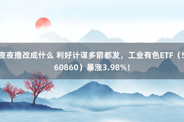 夜夜撸改成什么 利好计谋多箭都发，工业有色ETF（560860）暴涨3.98%！