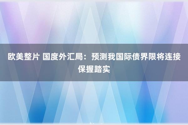 欧美整片 国度外汇局：预测我国际债界限将连接保握踏实