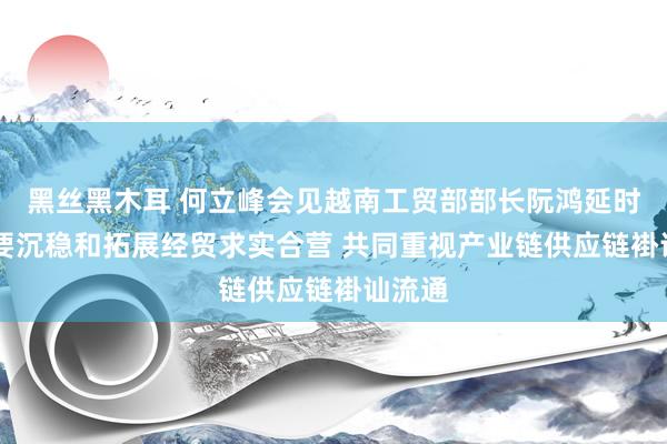 黑丝黑木耳 何立峰会见越南工贸部部长阮鸿延时指出 要沉稳和拓展经贸求实合营 共同重视产业链供应链褂讪流通