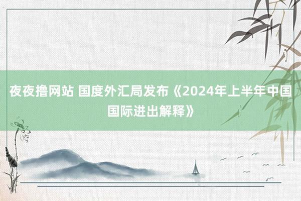 夜夜撸网站 国度外汇局发布《2024年上半年中国国际进出解释》