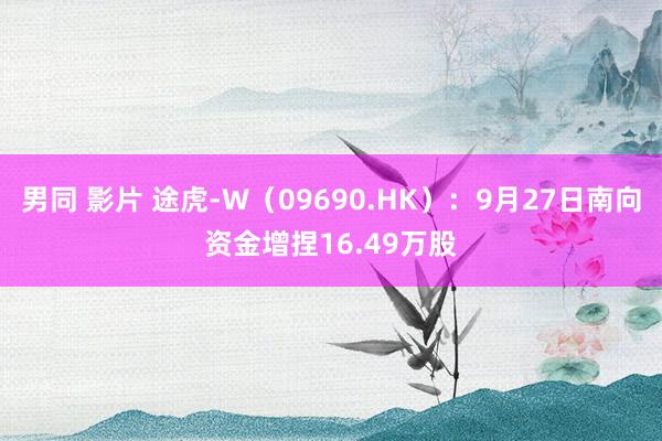 男同 影片 途虎-W（09690.HK）：9月27日南向资金增捏16.49万股