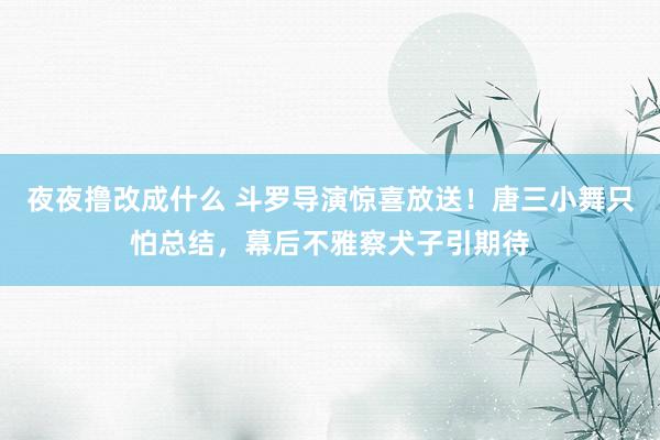 夜夜撸改成什么 斗罗导演惊喜放送！唐三小舞只怕总结，幕后不雅察犬子引期待