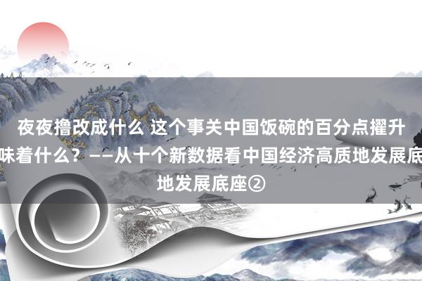 夜夜撸改成什么 这个事关中国饭碗的百分点擢升，意味着什么？——从十个新数据看中国经济高质地发展底座②