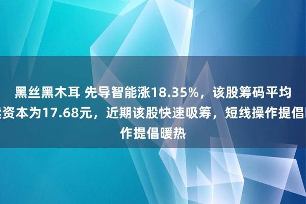 黑丝黑木耳 先导智能涨18.35%，该股筹码平均买卖资本为17.68元，近期该股快速吸筹，短线操作提倡暖热