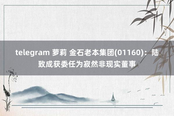 telegram 萝莉 金石老本集团(01160)：陆致成获委任为寂然非现实董事