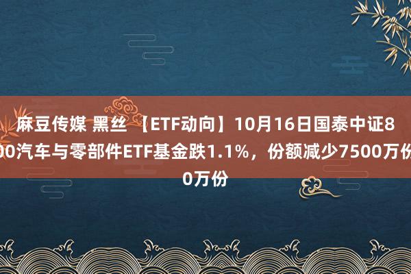 麻豆传媒 黑丝 【ETF动向】10月16日国泰中证800汽车与零部件ETF基金跌1.1%，份额减少7500万份