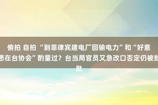 偷拍 自拍 “到菲律宾建电厂回输电力”和“好意思在台协会”酌量过？台当局官员又急改口否定仍被批