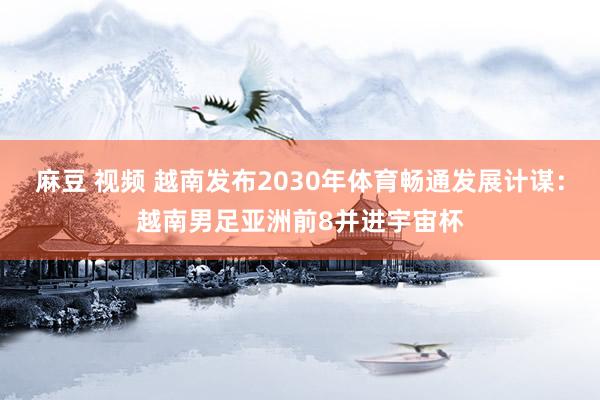 麻豆 视频 越南发布2030年体育畅通发展计谋：越南男足亚洲前8并进宇宙杯