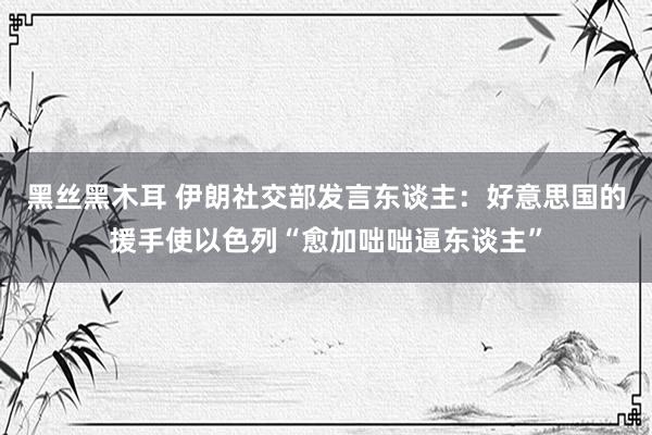 黑丝黑木耳 伊朗社交部发言东谈主：好意思国的援手使以色列“愈加咄咄逼东谈主”