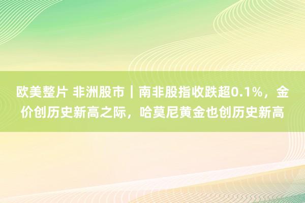 欧美整片 非洲股市｜南非股指收跌超0.1%，金价创历史新高之际，哈莫尼黄金也创历史新高