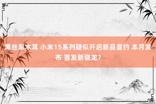 黑丝黑木耳 小米15系列疑似开启新品盲约 本月发布 首发新骁龙？