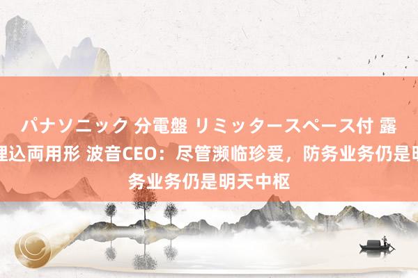 パナソニック 分電盤 リミッタースペース付 露出・半埋込両用形 波音CEO：尽管濒临珍爱，防务业务仍是明天中枢