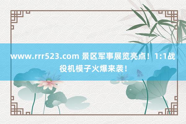 www.rrr523.com 景区军事展览亮点！1:1战役机模子火爆来袭！