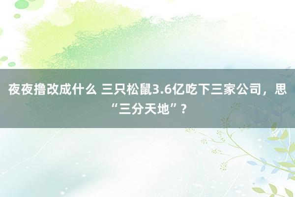 夜夜撸改成什么 三只松鼠3.6亿吃下三家公司，思“三分天地”？