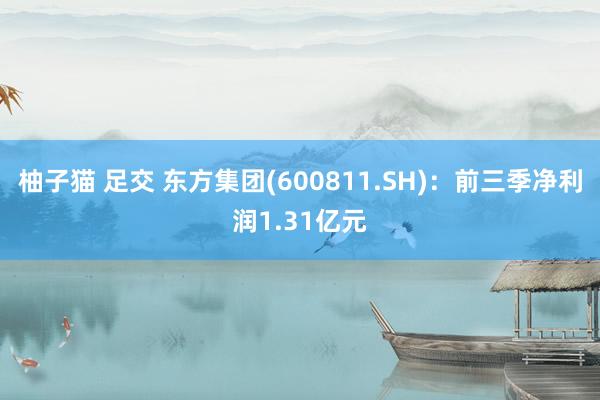 柚子猫 足交 东方集团(600811.SH)：前三季净利润1.31亿元