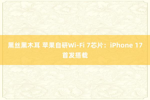 黑丝黑木耳 苹果自研Wi-Fi 7芯片：iPhone 17首发搭载