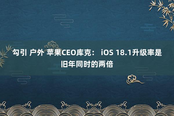 勾引 户外 苹果CEO库克： iOS 18.1升级率是旧年同时的两倍