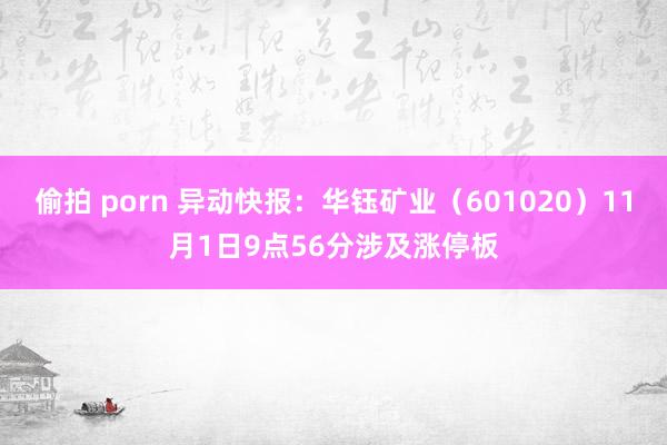 偷拍 porn 异动快报：华钰矿业（601020）11月1日9点56分涉及涨停板