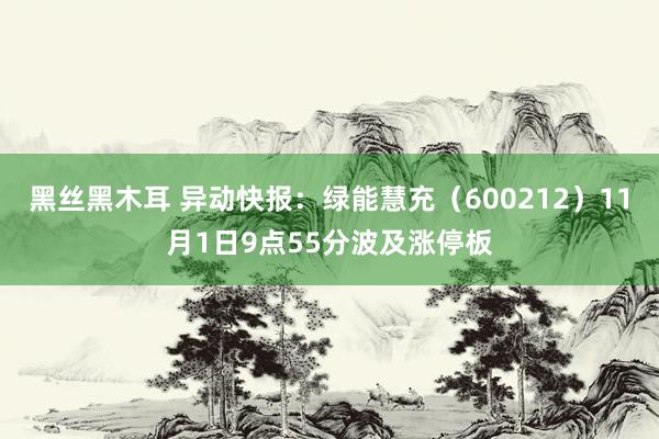 黑丝黑木耳 异动快报：绿能慧充（600212）11月1日9点55分波及涨停板