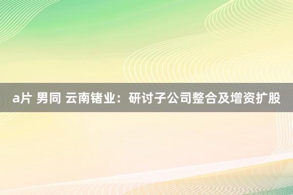 a片 男同 云南锗业：研讨子公司整合及增资扩股