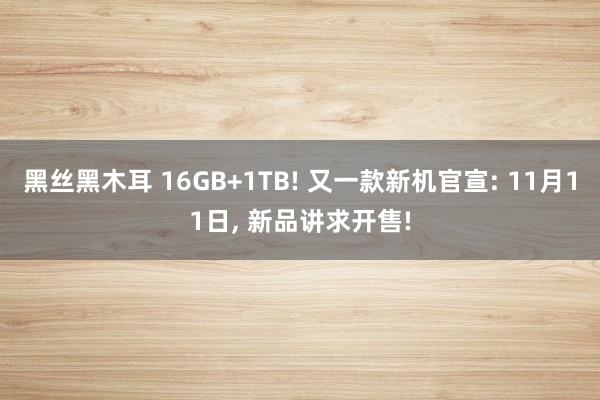 黑丝黑木耳 16GB+1TB! 又一款新机官宣: 11月11日， 新品讲求开售!