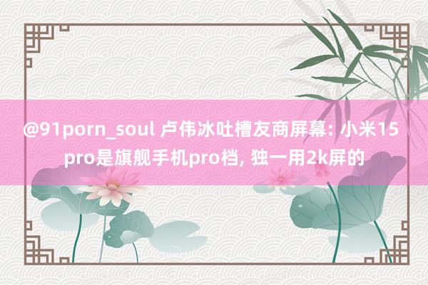 @91porn_soul 卢伟冰吐槽友商屏幕: 小米15 pro是旗舰手机pro档， 独一用2k屏的