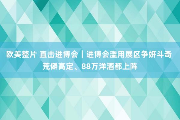 欧美整片 直击进博会｜进博会滥用展区争妍斗奇 荒僻高定、88万洋酒都上阵