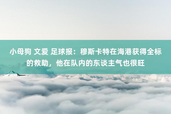 小母狗 文爱 足球报：穆斯卡特在海港获得全标的救助，他在队内的东谈主气也很旺