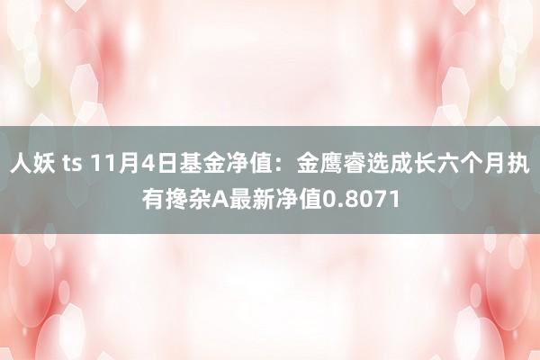 人妖 ts 11月4日基金净值：金鹰睿选成长六个月执有搀杂A最新净值0.8071