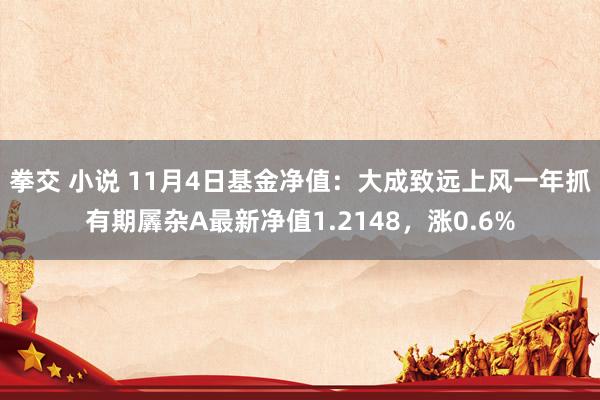 拳交 小说 11月4日基金净值：大成致远上风一年抓有期羼杂A最新净值1.2148，涨0.6%