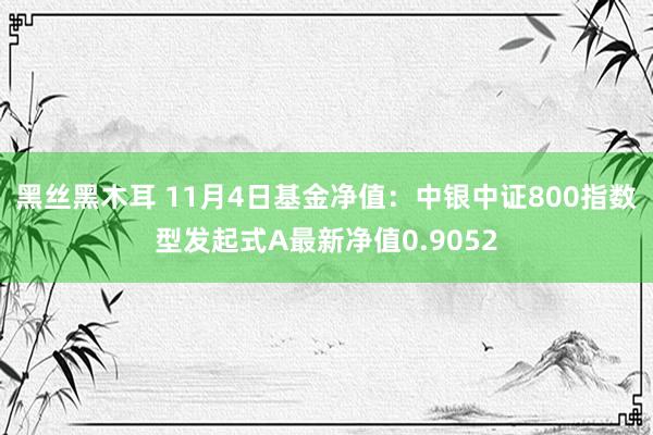 黑丝黑木耳 11月4日基金净值：中银中证800指数型发起式A最新净值0.9052