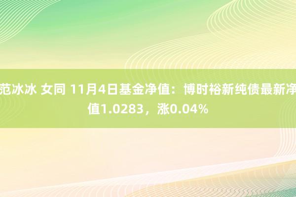 范冰冰 女同 11月4日基金净值：博时裕新纯债最新净值1.0283，涨0.04%