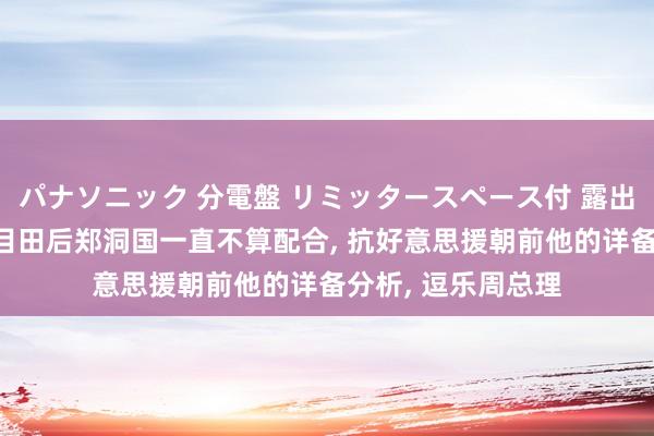 パナソニック 分電盤 リミッタースペース付 露出・半埋込両用形 目田后郑洞国一直不算配合， 抗好意思援朝前他的详备分析， 逗乐周总理