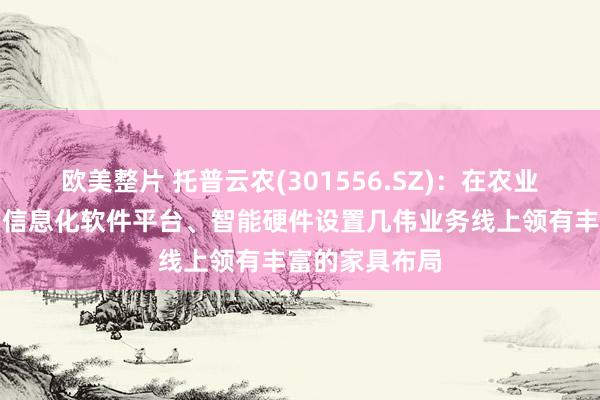 欧美整片 托普云农(301556.SZ)：在农业物联网技俩、信息化软件平台、智能硬件设置几伟业务线上领有丰富的家具布局