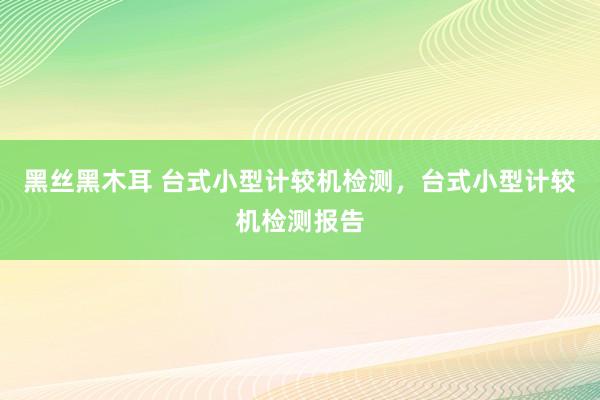 黑丝黑木耳 台式小型计较机检测，台式小型计较机检测报告