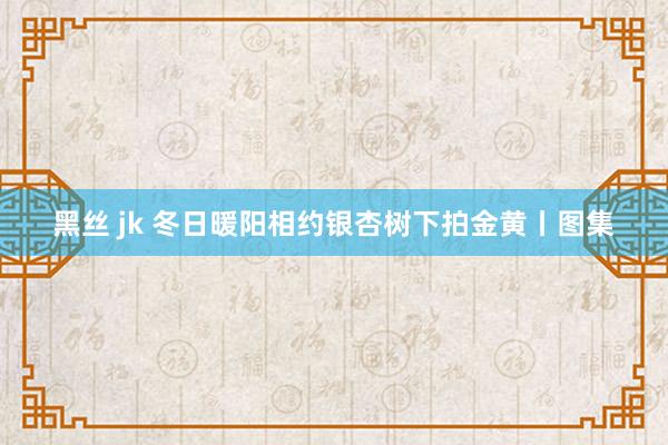 黑丝 jk 冬日暖阳相约银杏树下拍金黄丨图集