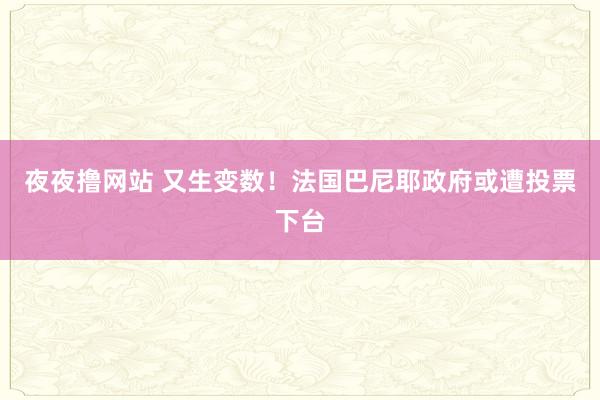 夜夜撸网站 又生变数！法国巴尼耶政府或遭投票下台