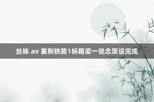 丝袜 av 襄荆铁路1标箱梁一说念架设完成